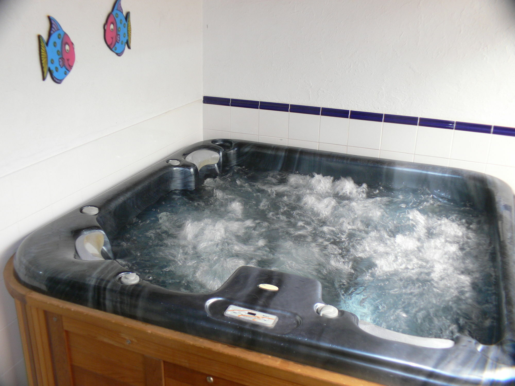 Swiss Chalet Lodge Motel Paihia Ngoại thất bức ảnh