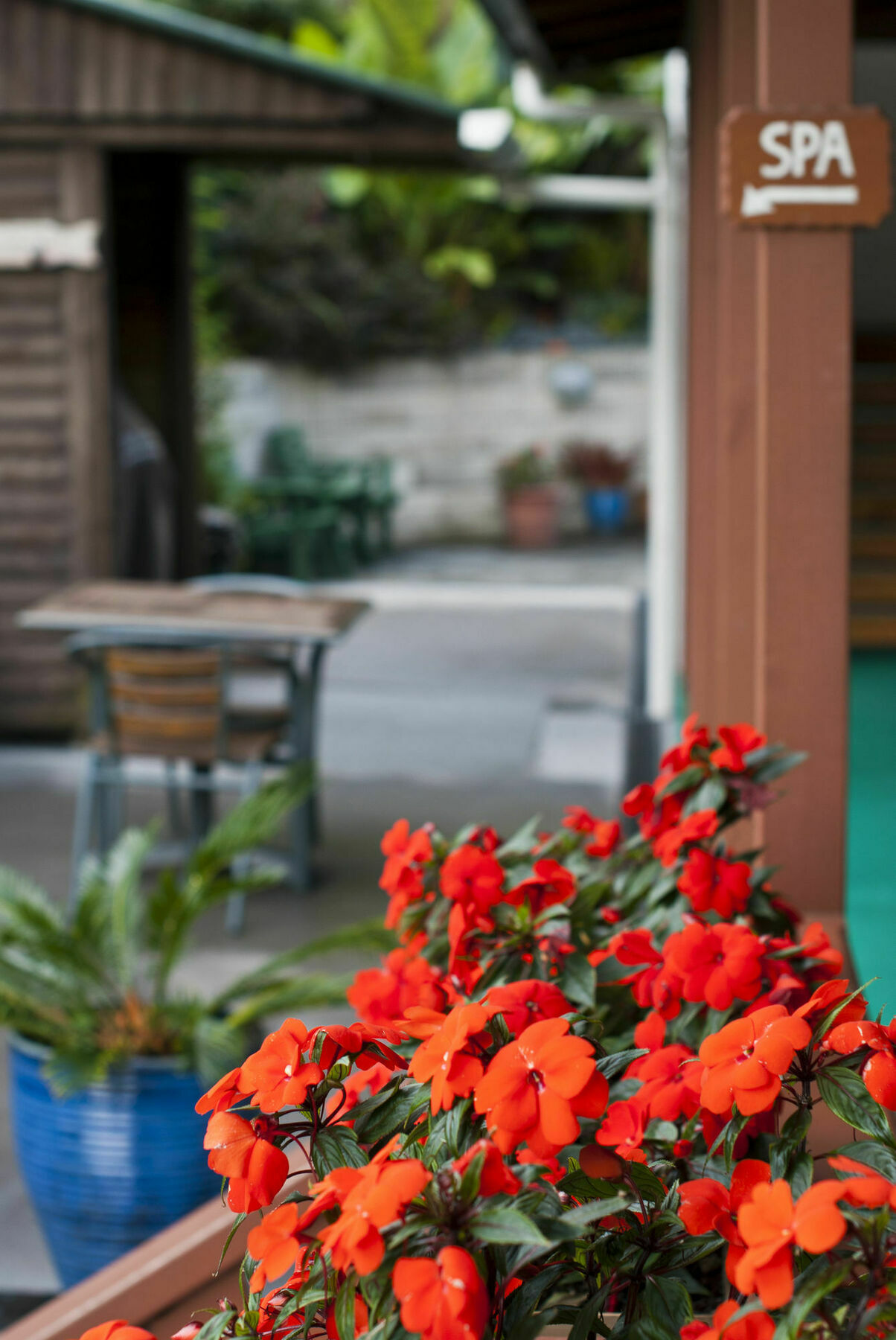 Swiss Chalet Lodge Motel Paihia Ngoại thất bức ảnh