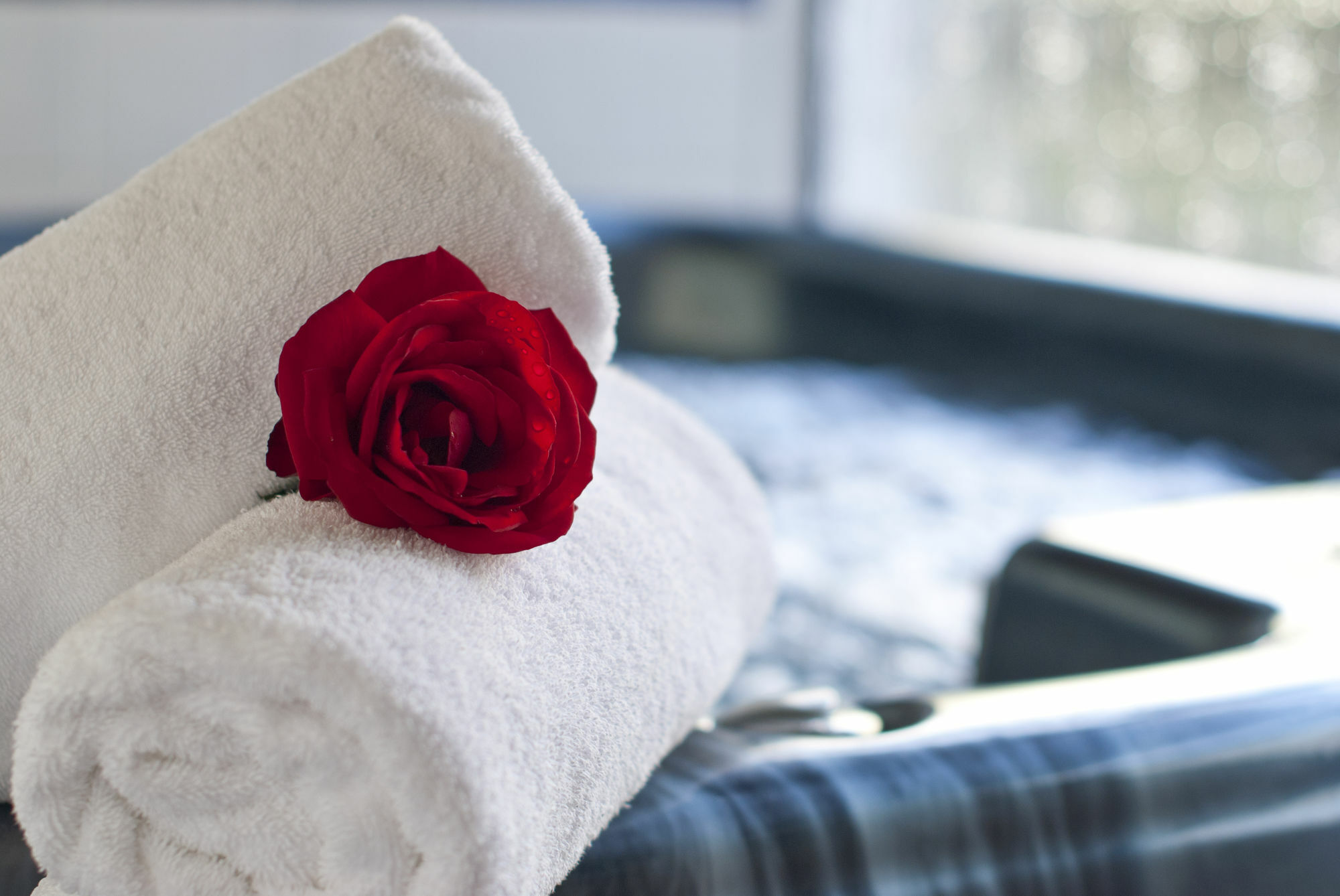 Swiss Chalet Lodge Motel Paihia Ngoại thất bức ảnh