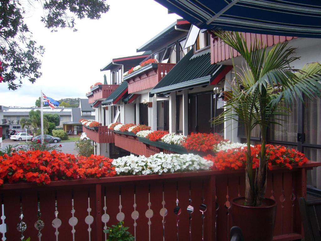Swiss Chalet Lodge Motel Paihia Phòng bức ảnh